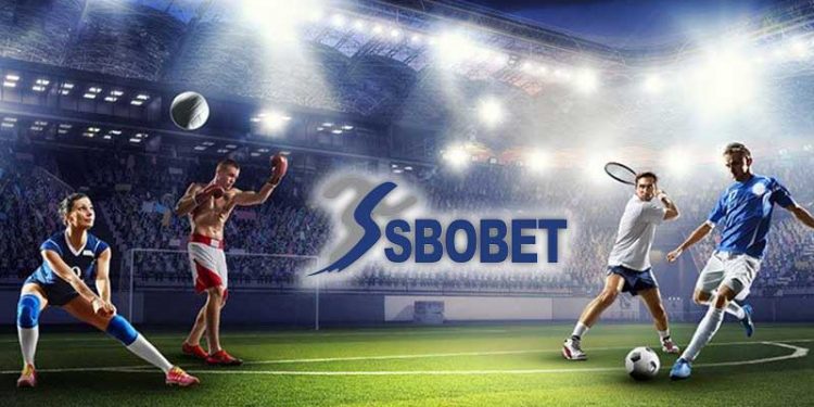 Read more about the article Live Score SBOBET: Menonton Pertandingan Bola Tanpa Terlewatkan