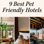 The Purest Stay: The Rise of Allergy-Friendly Hotels in Modern Travel