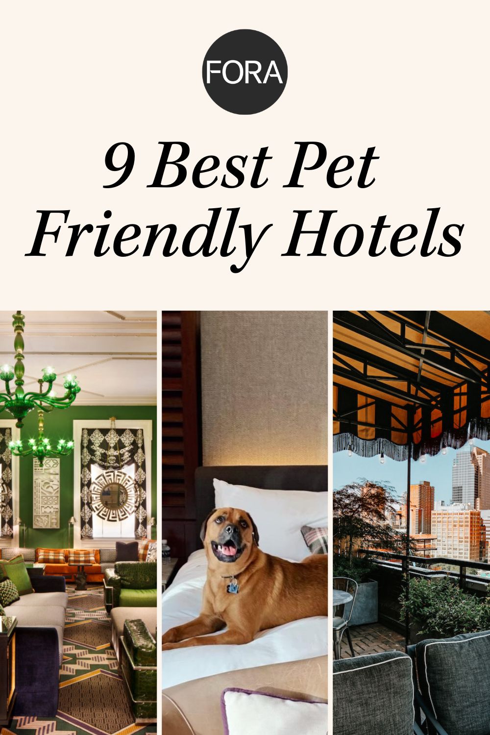 Du betrachtest gerade The Purest Stay: The Rise of Allergy-Friendly Hotels in Modern Travel